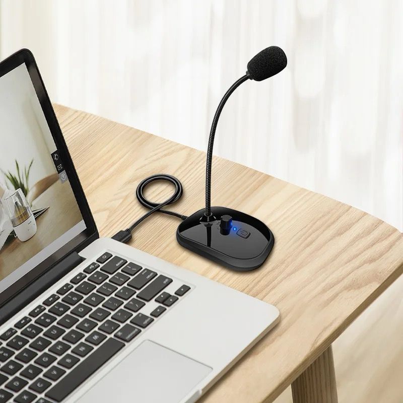 Computer Microphone.