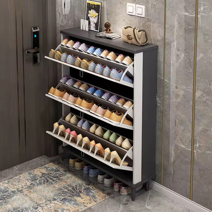 Luxury Shoe Cabinet