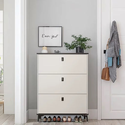Luxury Shoe Cabinet