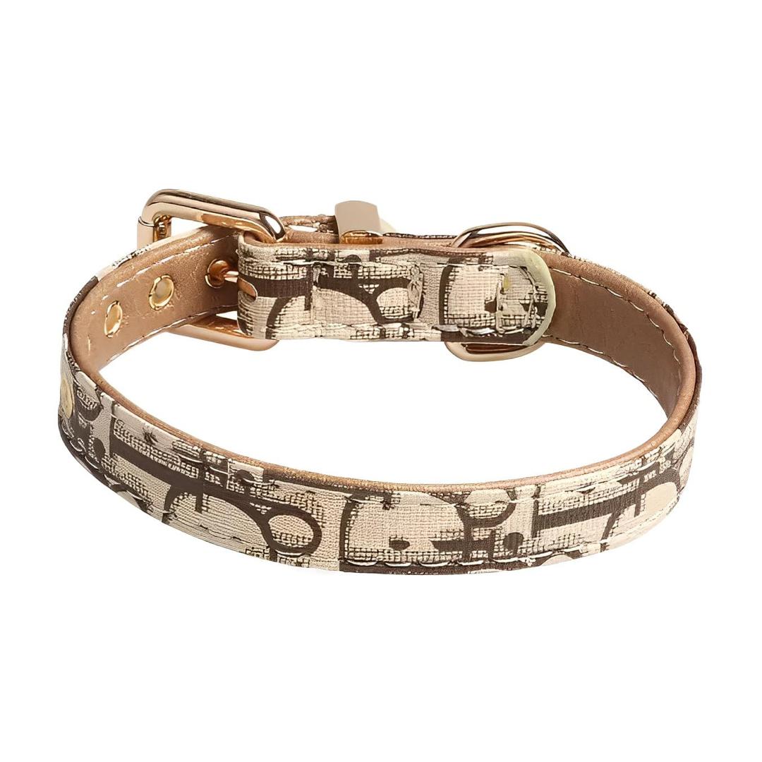 Luxury Dog Collar and Harness.